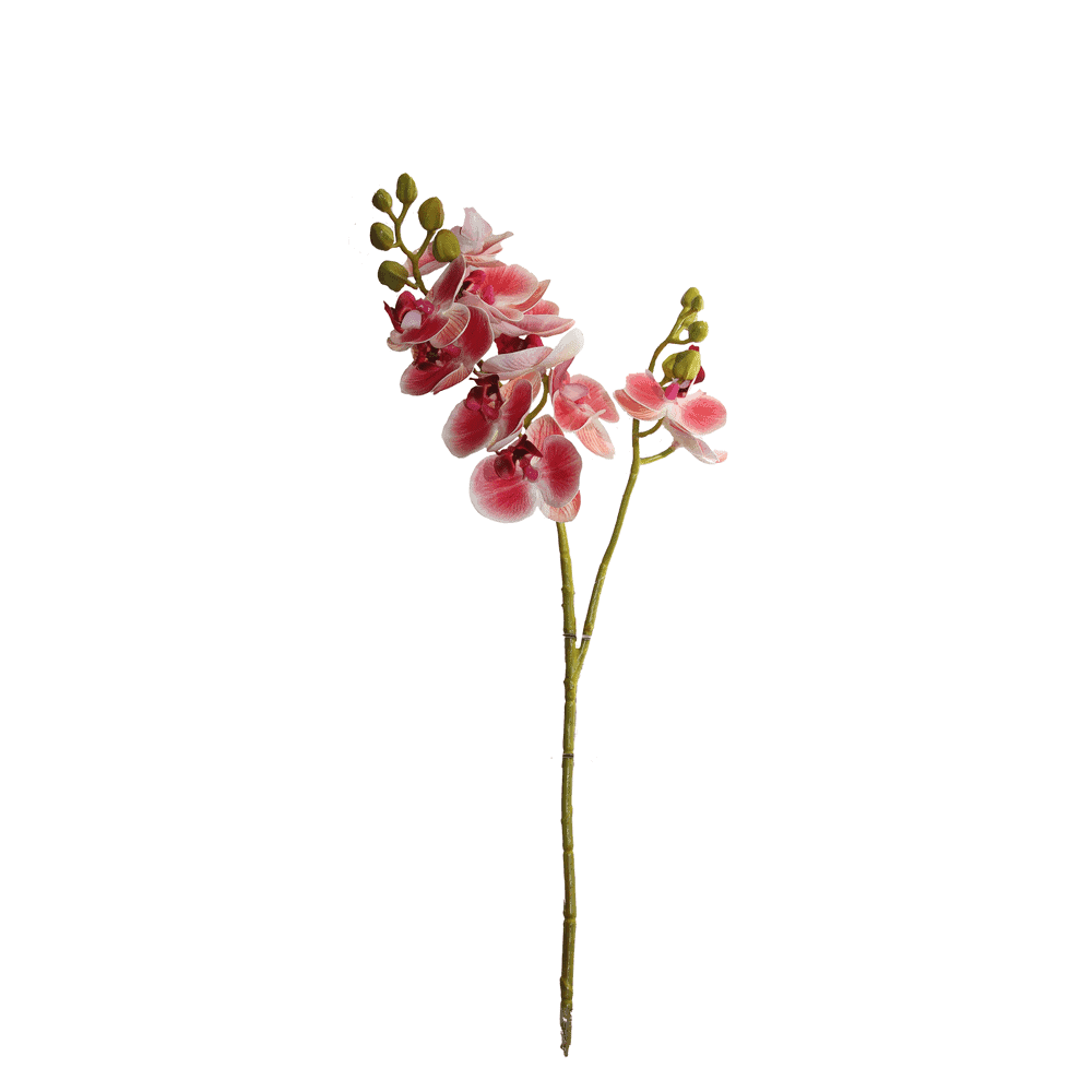 ORQUIDEA MINI ROSA 60CM