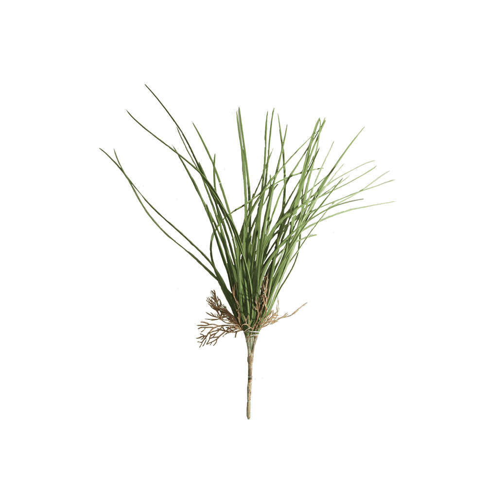HIERBA DE PRIMAVERA