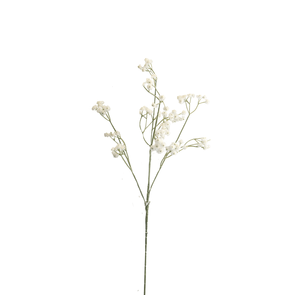 ESTRELLA BLANCA 63CM