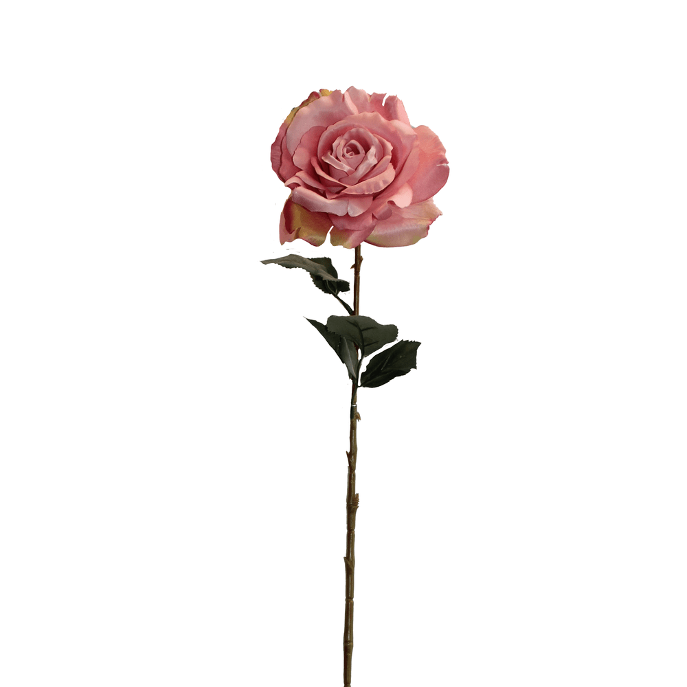 ROSA ROSADA 65cm