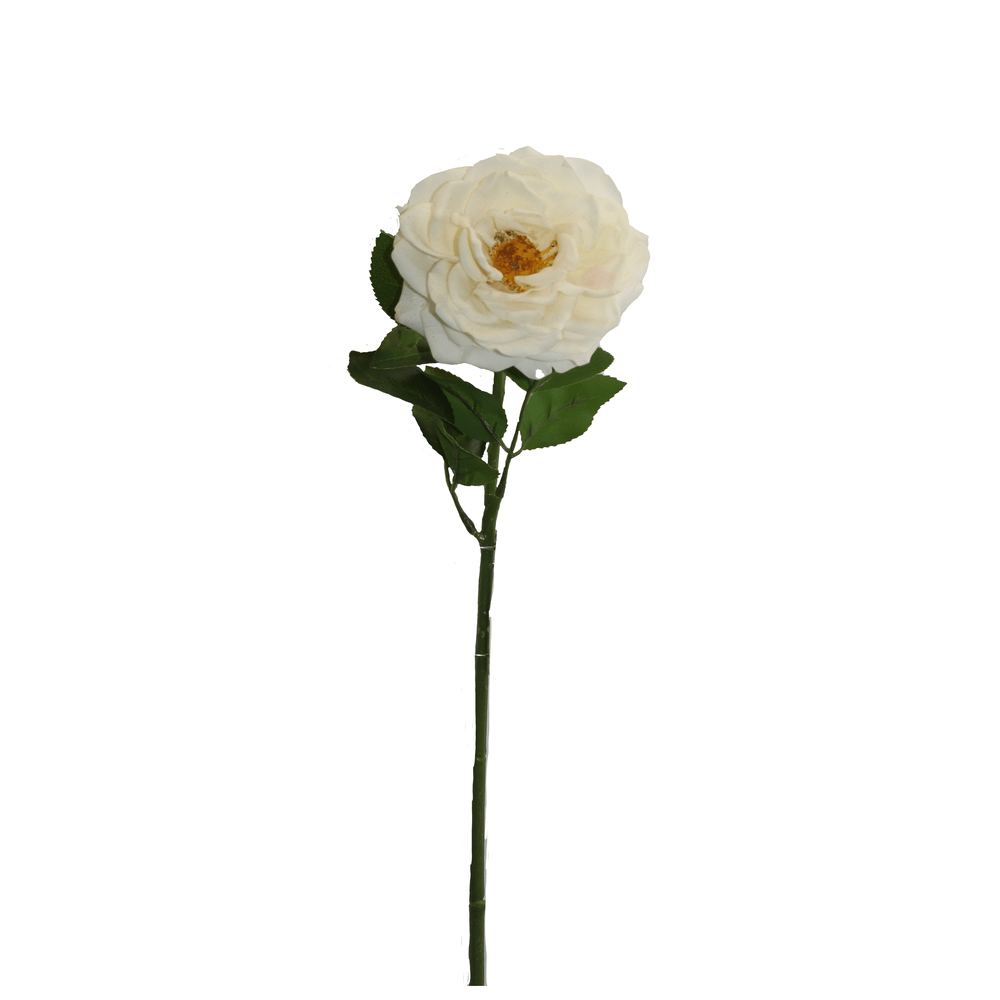 ROSA BLANCO 19*19*59