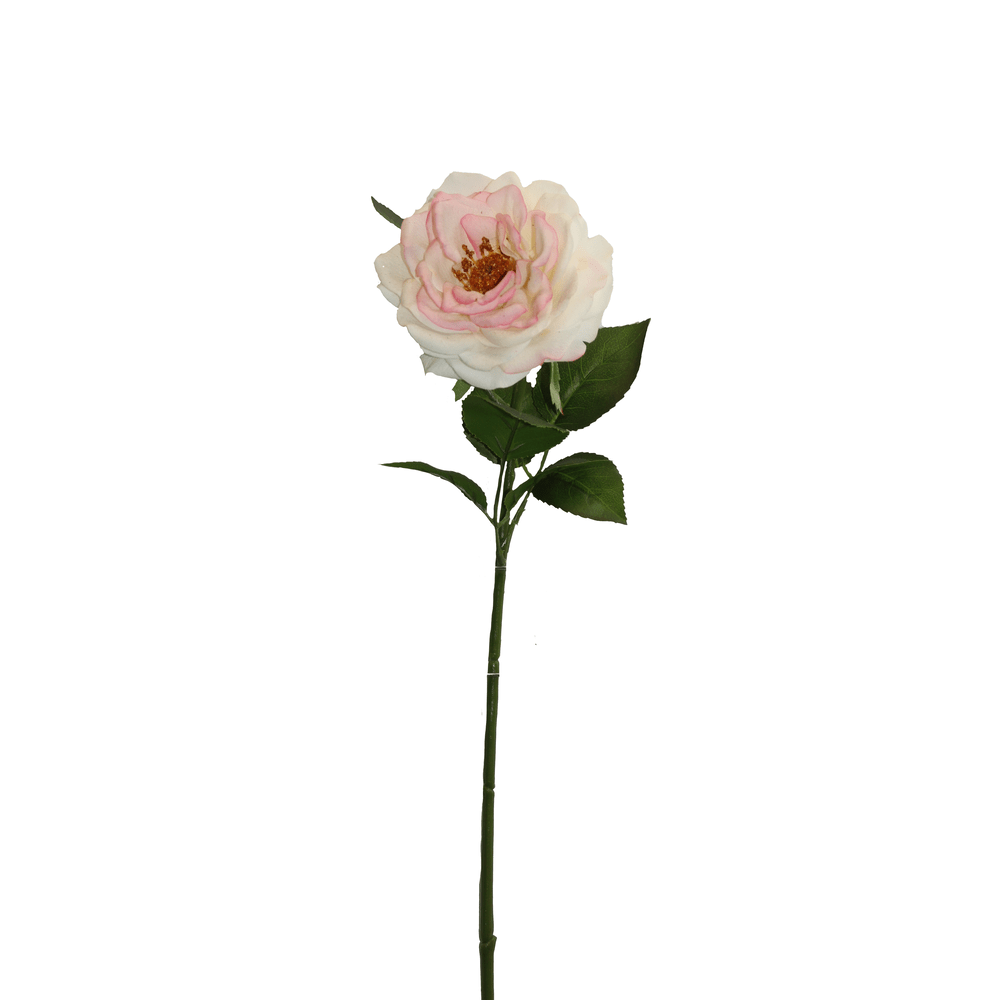 ROSA BLANCO ROSADO 19*19*59