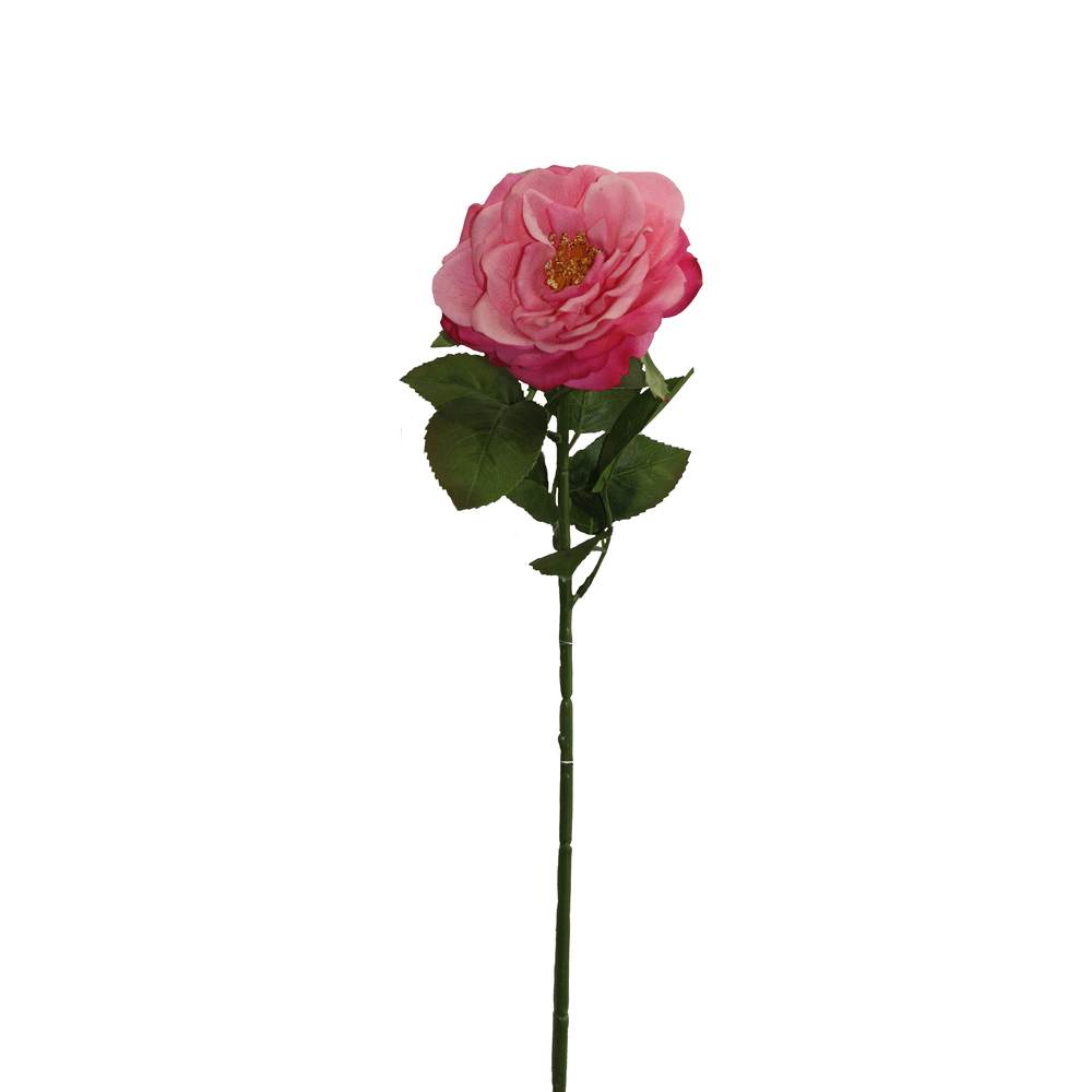 ROSA ROSADO 19*19*59