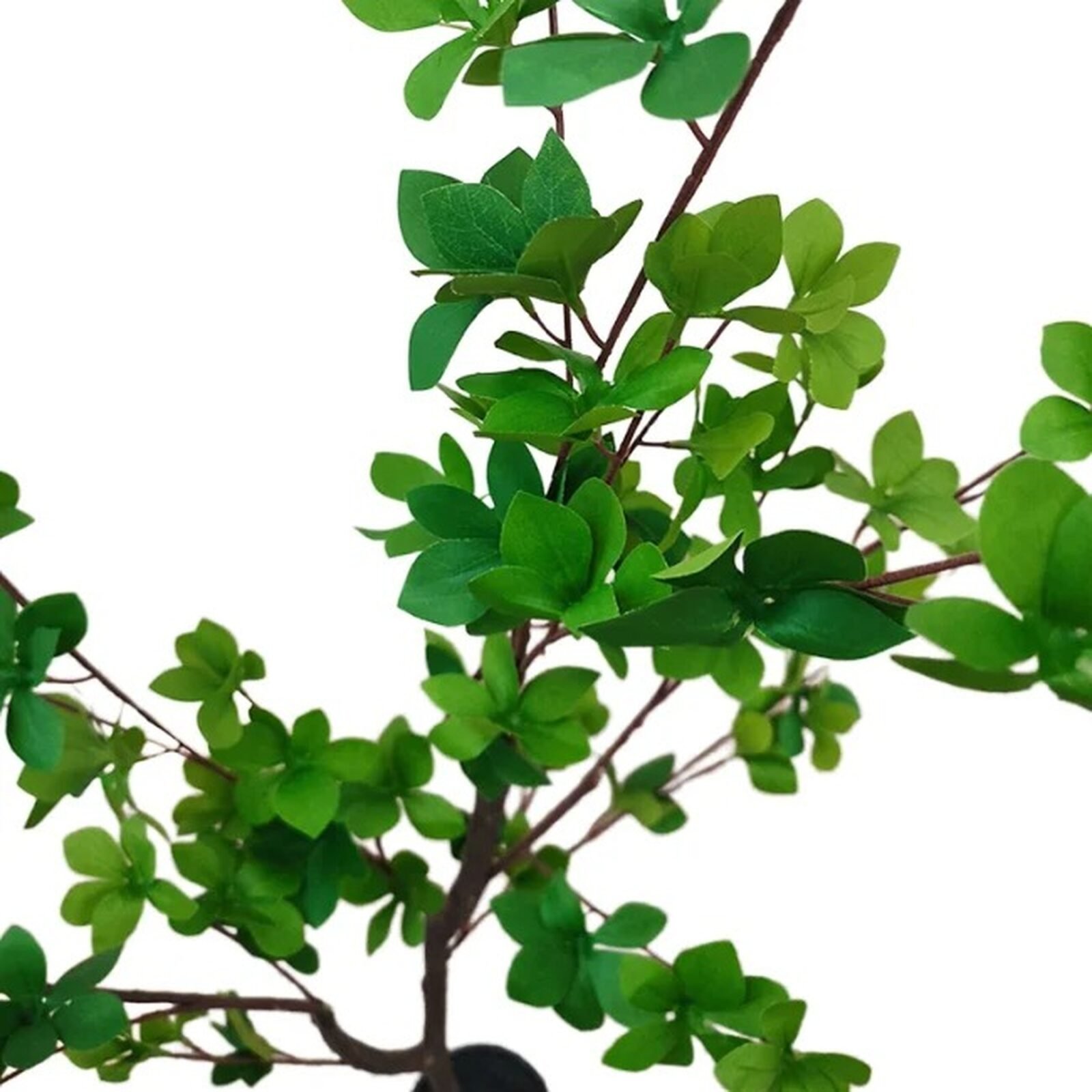 MATA ARTIFICIAL ENKIANTHUS 150CM - Imagen 10