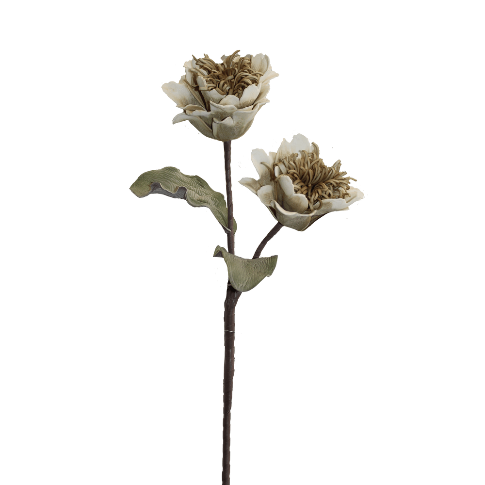 CAMELIA CREMA 90CM