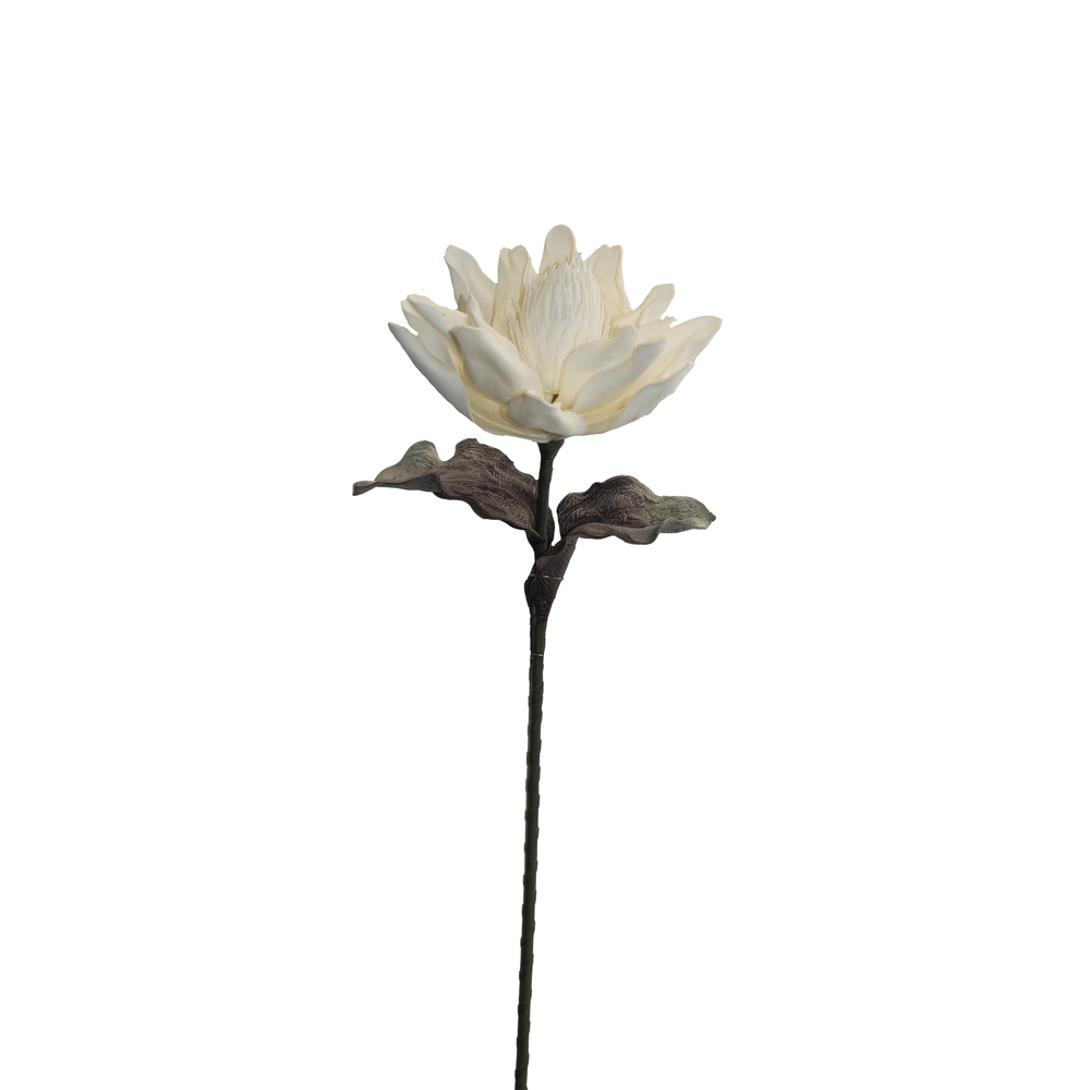 ESPIGA NARDO BLANCO 75CM