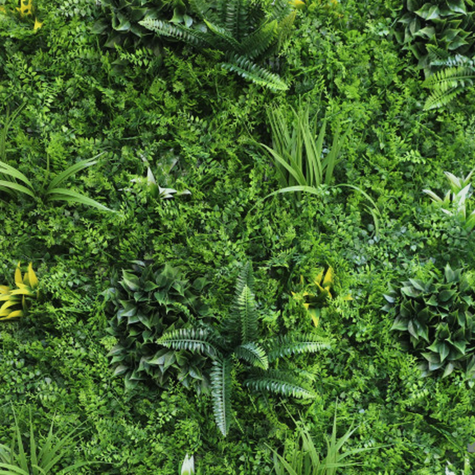 JARDIN VERTICAL VERDE HELECHO DENSO 100x100 - Imagen 9