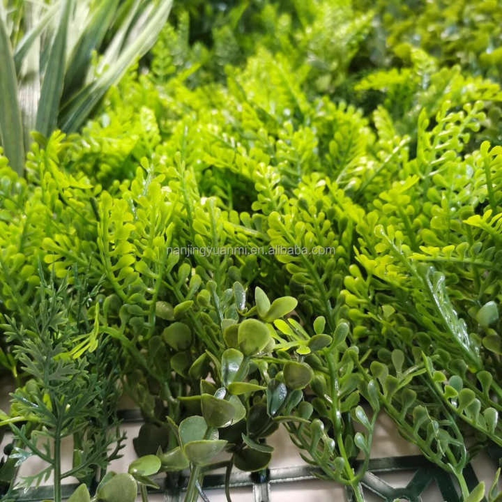 JARDIN VERTICAL VERDE VERANO 100x100 - Imagen 5