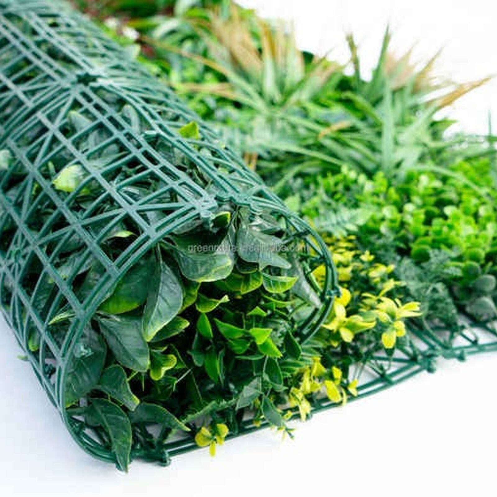 JARDIN VERTICAL VERDE VERANO 100x100 - Imagen 7