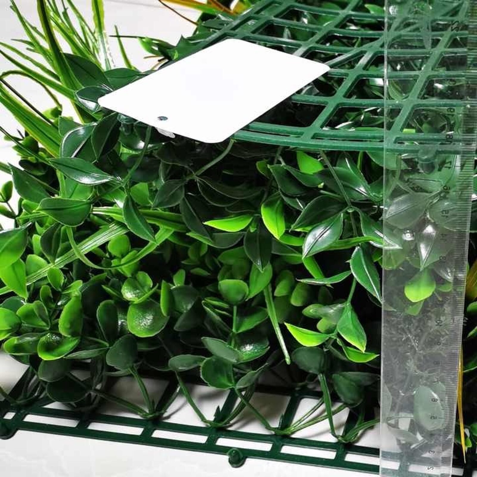 JARDIN VERTICAL VERDE VERANO 100x100 - Imagen 8