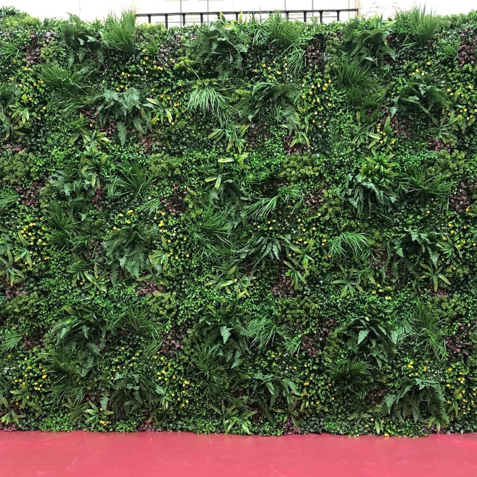 JARDIN VERTICAL VERDE MARAVILLA 100x100 - Imagen 4