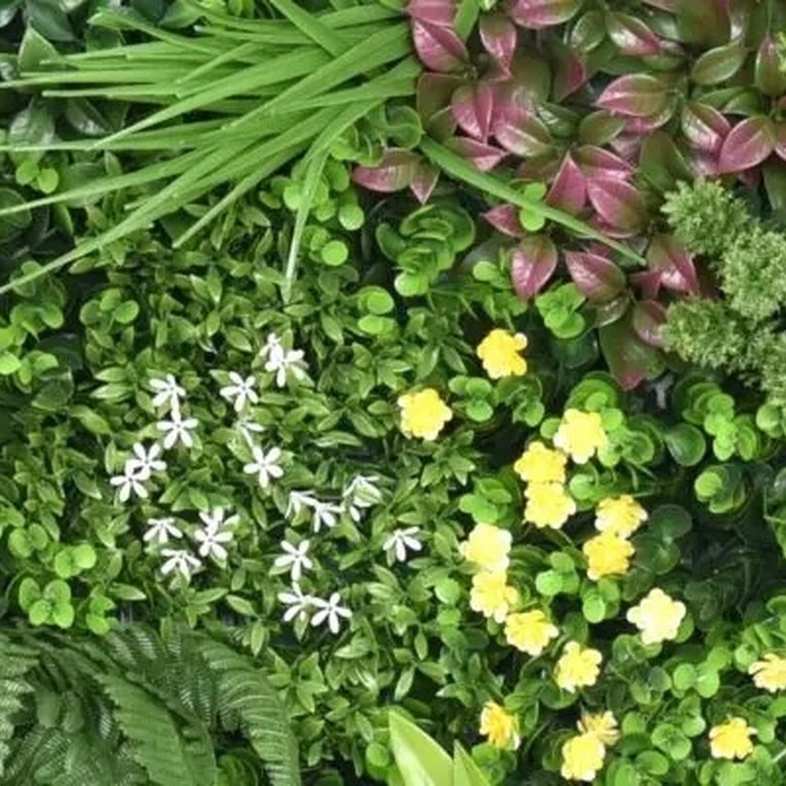 JARDIN VERTICAL VERDE MARAVILLA 100x100 - Imagen 9