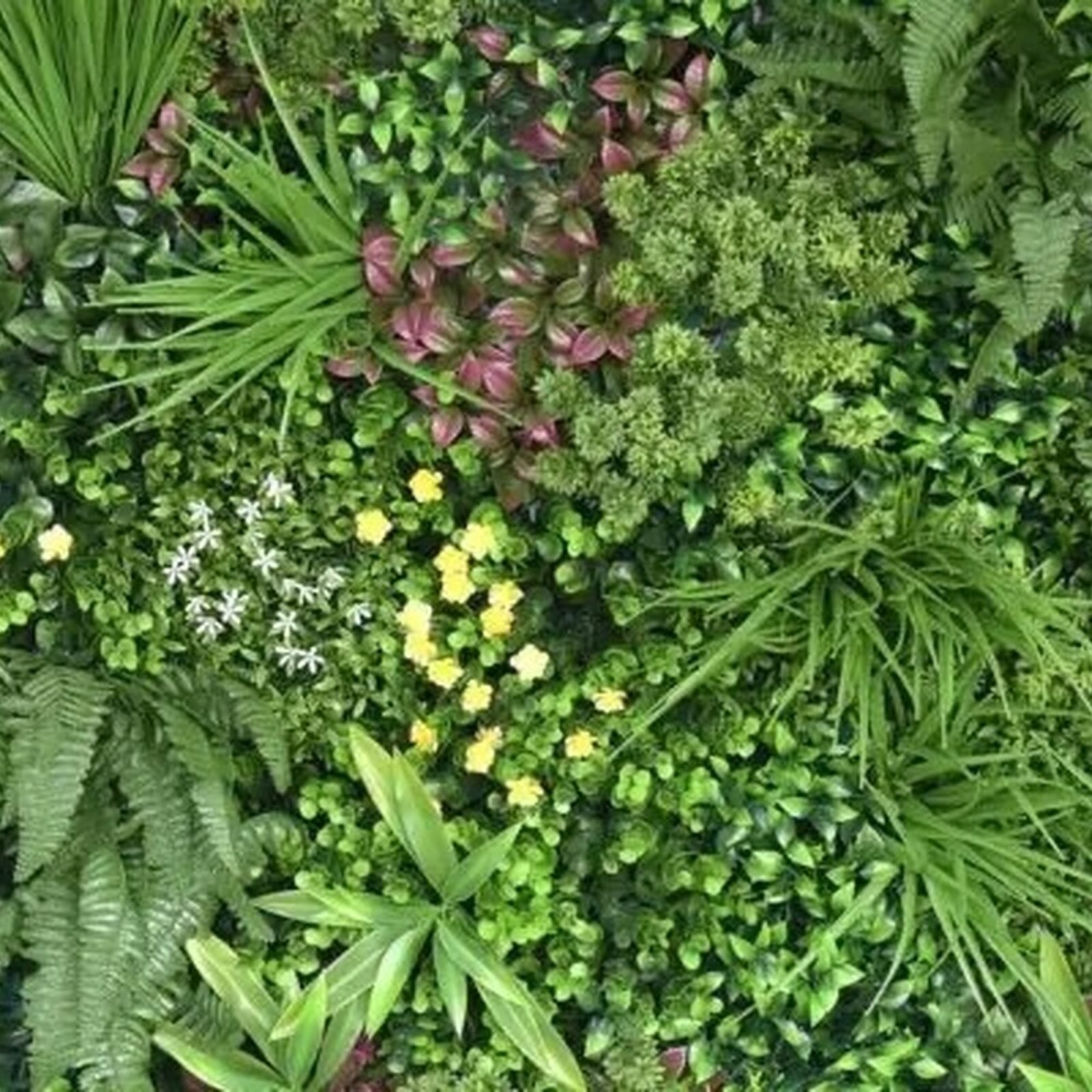 JARDIN VERTICAL VERDE MARAVILLA 100x100 - Imagen 10