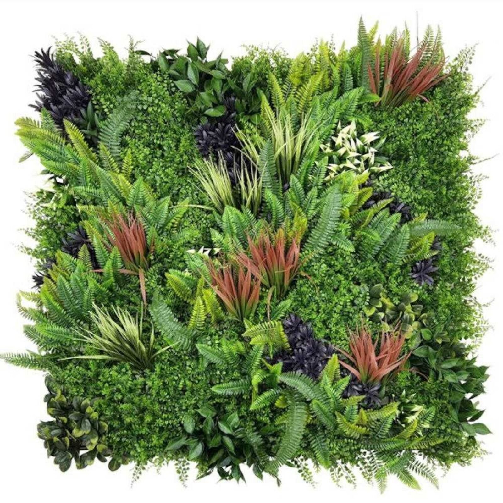 JARDIN VERTICAL VERDE AURORA 100x100 - Imagen 10