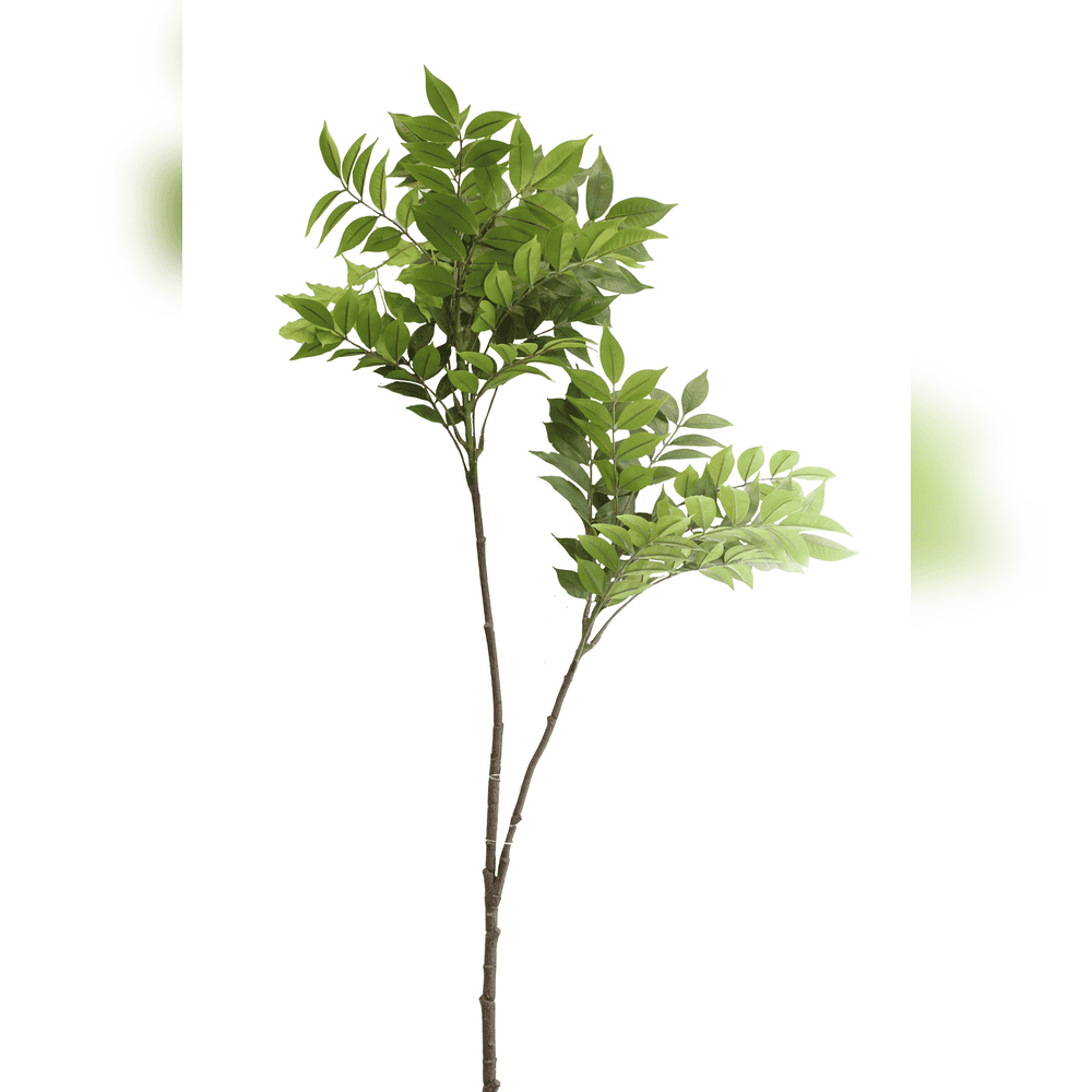 HOJA DE GLICINA VERDE PUNTAS VERDE OSCURO