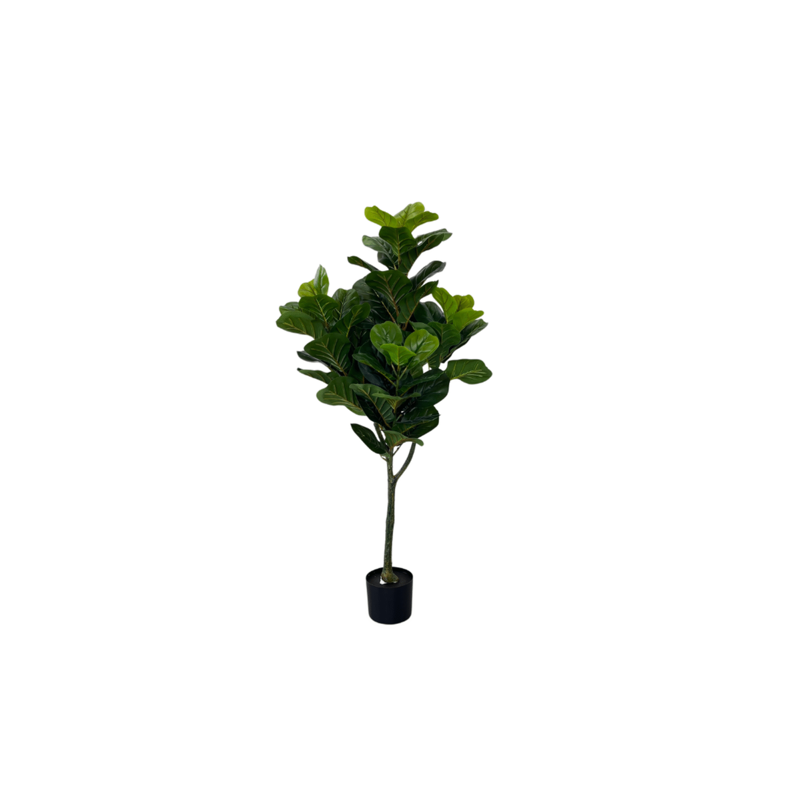 PLANTA ARTIFICIAL FICUS PANDURATA 120CM - Imagen 6