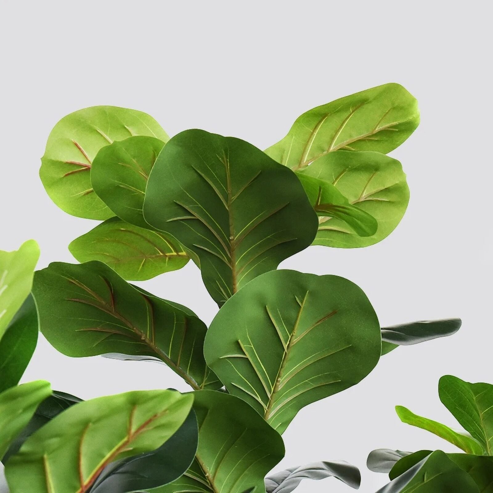 PLANTA ARTIFICIAL FICUS PANDURATA 120CM - Imagen 10