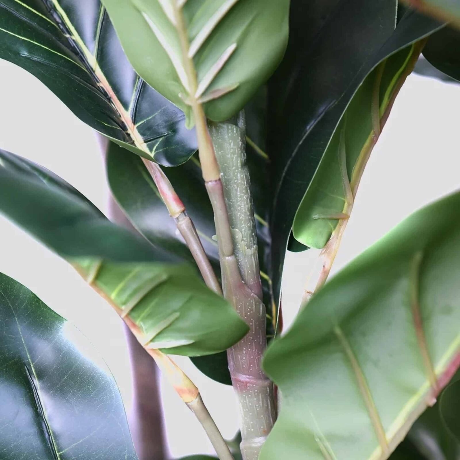 PLANTA ARTIFICIAL FICUS PANDURATA 150CM - Imagen 4