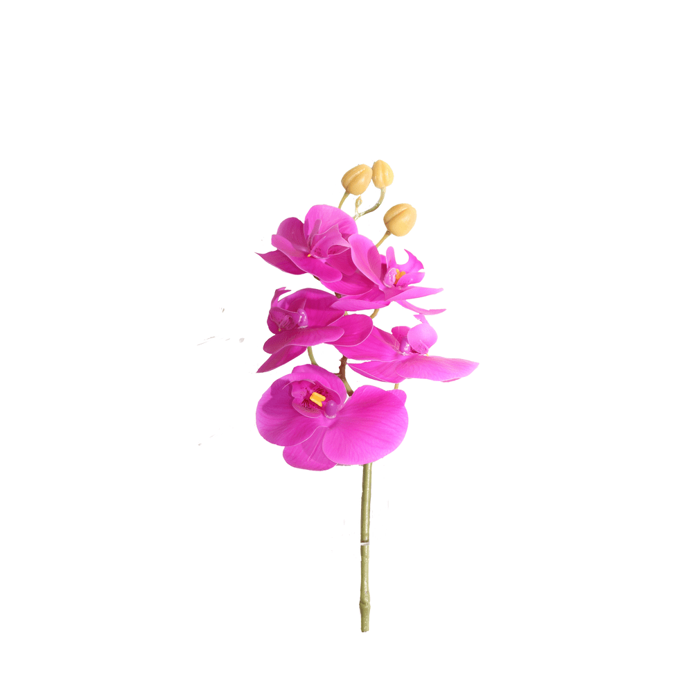 ORQUIDEA 98 CM MARIPOSA X 5 MALVA OSCURO