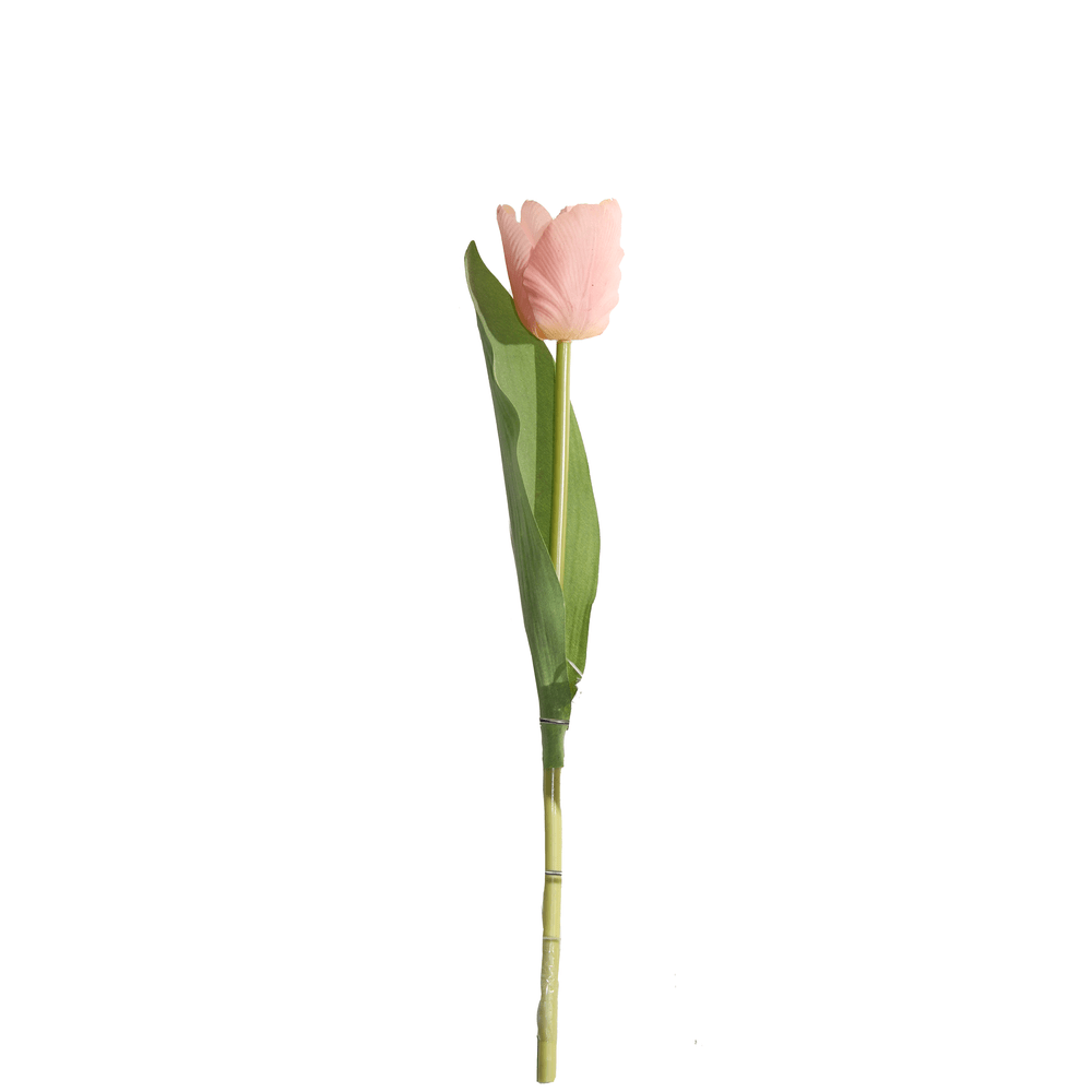 TULIPAN MEDIANO 35 CM X 1 BLANCO ROSADO
