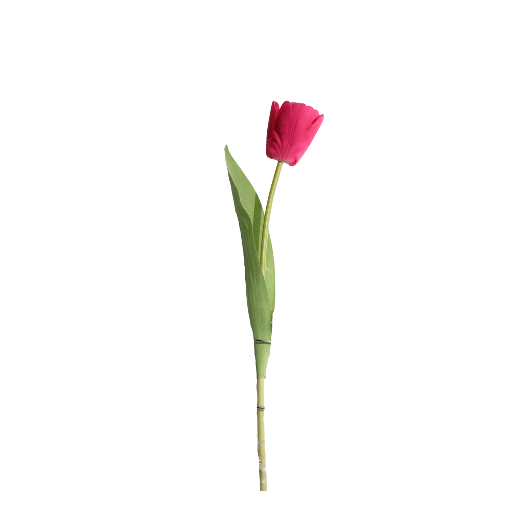 TULIPAN MEDIANO 35 CM X 1 ROJO