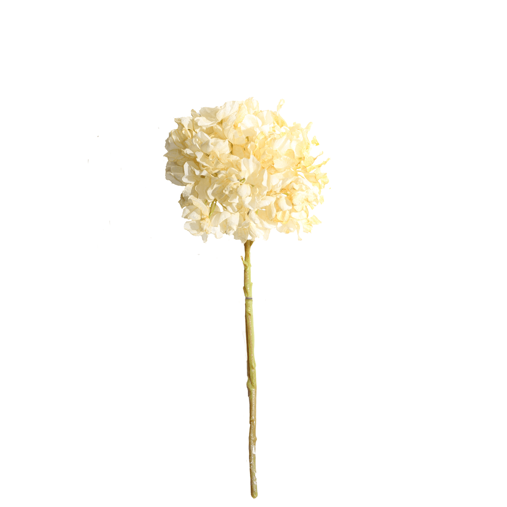 HORTENCIA ANTIQUE 35 CM X 1 CHAMPAÑA