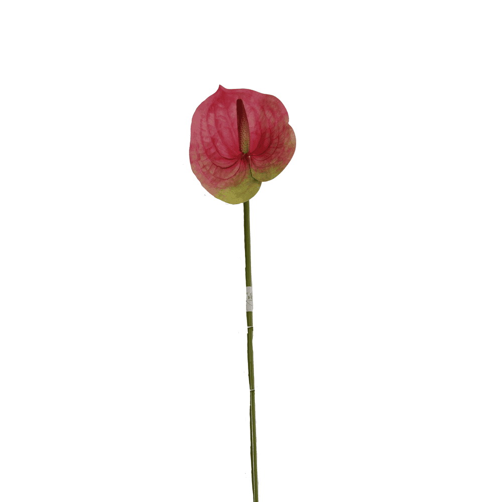 ANTURIO 63 CM ROSADO