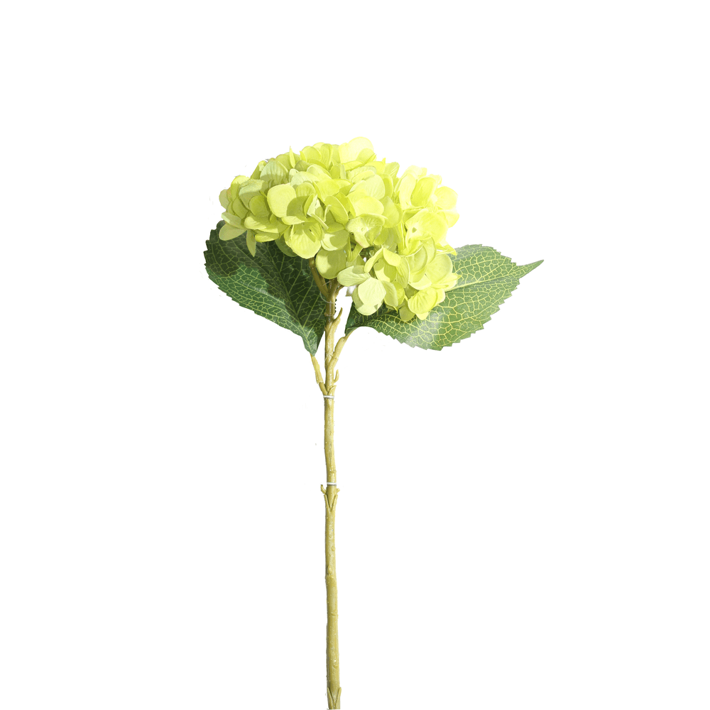 HORTENCIA 48 CM CON 2 HOJAS 16 CM VERDE