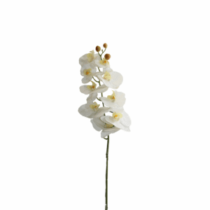 ORQUIDEA 98 CM MARIPOSA X 9 PETALOS  BLANCA