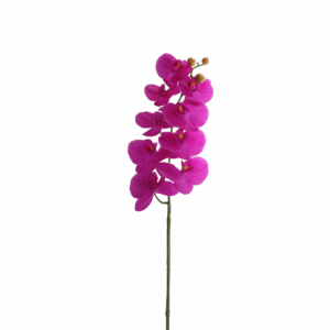 ORQUIDEA 98 CM MARIPOSA X 9 PETALOS MLAVA OSCURO