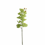 ORQUIDEA 98 CM MARIPOSA X 9 PETALOS VERDE
