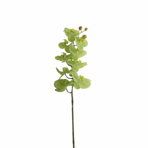 ORQUIDEA 98 CM MARIPOSA X 9 PETALOS VERDE