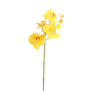 ORQUIDEA 98 CM MARIPOSA X 5  AMARILLA