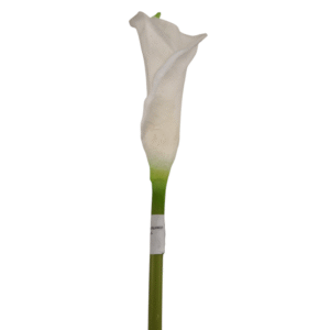 CARTUCHO 63 CM BLANCO