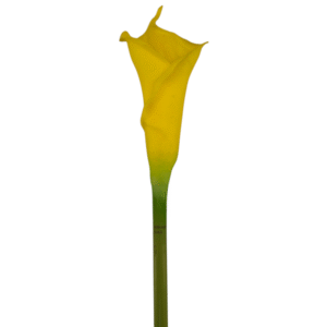 CARTUCHO 63 CM AMARILLO