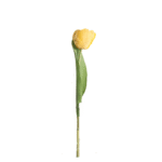 TULIPAN MEDIANO 35 CM X 1 AMARILLO
