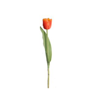 TULIPAN MEDIANO 35 CM X 1 NARANJA