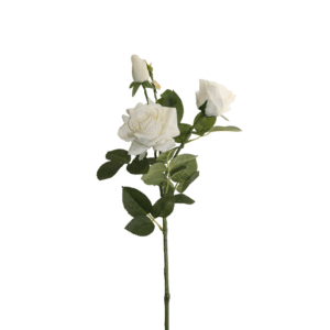 ROSA X 4 DE 74 CM  BLANCA
