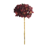 HORTENCIA ANTIQUE 35 CM X VINO TINTO