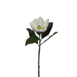 EVA MAGNOLIA DE 63 CM X 1 BLANCA