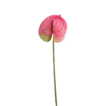 ANTURIO 65 CM ROSADO