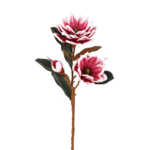 MAGNOLIA CON BORDE BLANCO ENROLLADO ROJO 80CM