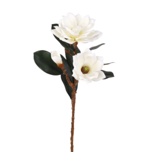 MAGNOLIA CON BORDE BLANCO ENROLLADO CREMA 80CM