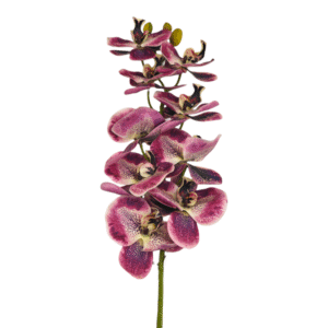 ORQUIDEA PEQUEÑA SIETE CABEZAS MORADO 95CM