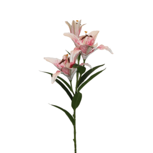 LIRIO GRANDE FUCSIA COMBINADO FUCSIA 90CM