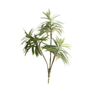 LIRIO DE BAMBU VERDE BLANCO
