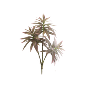 LIRIO DE BAMBU MORADO
