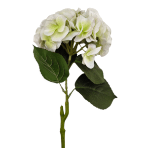HORTENSIA 63CM BLANCA