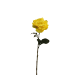 ROSA AMARILLA 65CM