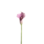 CARTUCHO MAUVE 14*0*82